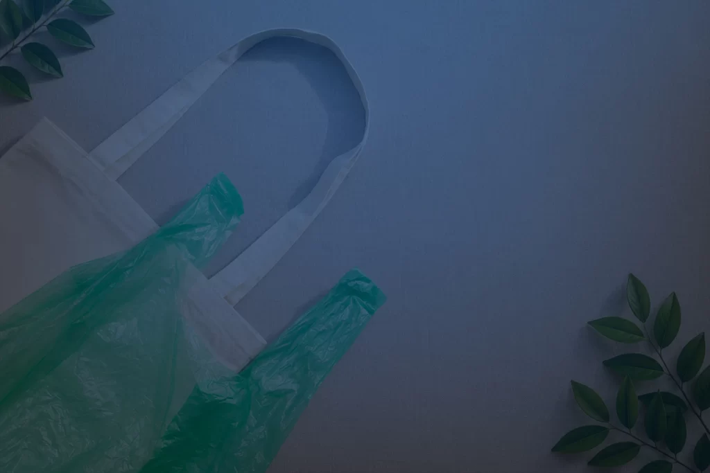 Biodegradable bag