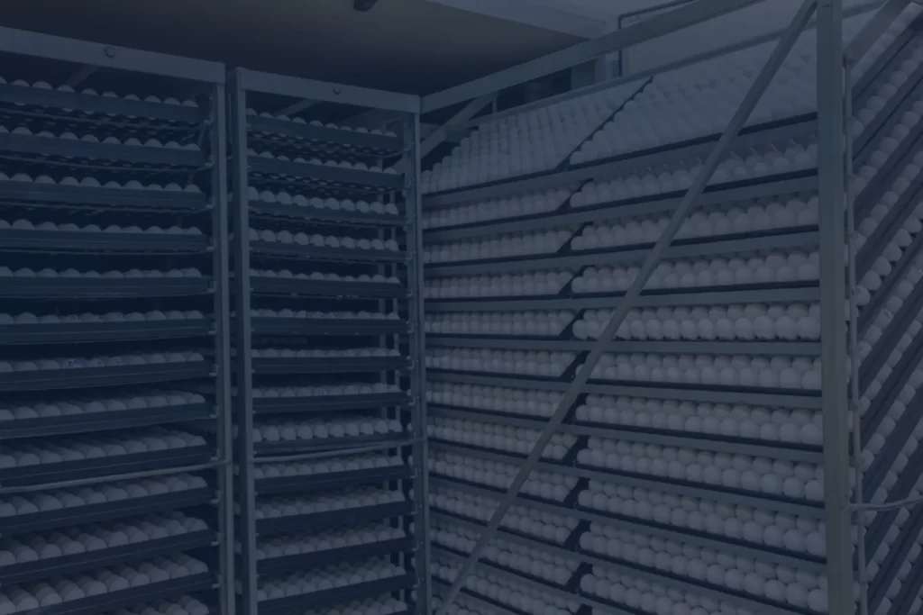 Poultry Incubation and Hatching Unit