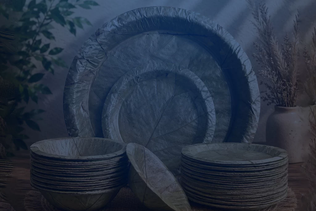 Sal leaf plate and bowl