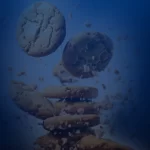 Orange Pomace Nutri-Cookies